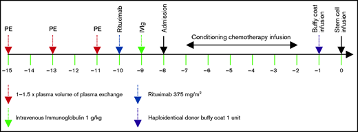 Desensitization protocol.