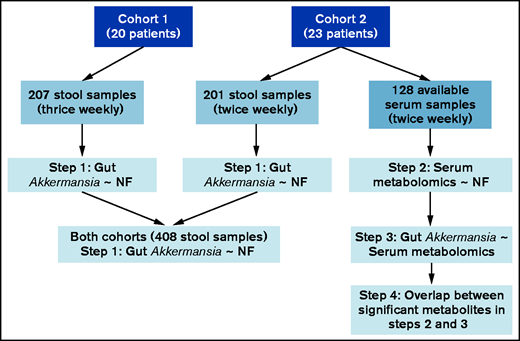 Consort diagram of patients, samples, and major analytic steps. All serum samples from cohort 1 and some from cohort 2 had been exhausted in prior projects; thus, the remaining samples from cohort 2 were used for analysis.