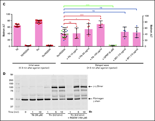 Human platelets treated with the peptide RGDW show a fibrin-mediated delayed wave (DW) of increased light transmission when activated with Thr; fibrinogen enhances the DW, and platelet activation is required for interaction with polymerized fibrin. Washed platelets (2 × 108/mL) were treated with 150 μM RGDW and/or the fibrin polymerization inhibitor Gly-Pro-Arg-Pro (GPRP) for 20 minutes at room temperature and then activated with either (A) 25 μM of a Thr PAR-1 receptor activating peptide (SFLLRN; T6) or (B) 0.2 U/mL Thr in an aggregometer cuvette. Changes in light transmission were measured at 37°C with stirring. (C) Quantitation and statistical analysis of the corresponding maximal change in light transmission (ΔLT) of the T6- or Thr-induced initial wave (<2 minutes after agonist injection) in the presence or absence of RGDW (left panel), and Thr-induced DW (>2 minutes after agonist injection), presented as mean ± SD. Where indicated, samples were treated with human fibrinogen (10, 50, and 100 µg/mL; red dots), GPRP (5 µM; green dots), or mAbs 6D1 or 6F1 (both at 10 µg/mL; blue dots). Data are presented as mean ± SD. Statistical analyses were performed using Student t test between samples tested in the same experiments with and without the indicated intervention (color-coded). *P < .05; ****P < .0001. ns, nonsignificant. (D) In parallel studies, the reaction was stopped at the indicated times by adding one-third volume of 3× sodium dodecyl sulfate (SDS) sample buffer. Samples were subjected to SDS-polyacrylamide gel electrophoresis under reducing conditions and immunoblotted with an mAb specific for the fibrinogen γ-chain. (E) Addition of fibrinogen at 10 µg/mL (blue tracing), 50 µg/mL (purple tracing), 100 µg/mL (black tracing) enhanced the DW. (F) Effect of added fibrinogen on the time to DW onset. Fibrinogen at the indicated concentrations was added to washed platelet samples treated with 150 μM RGDW in an aggregometer cuvette at 37°C with stirring. After 60 seconds, 0.2 U/mL Thr was added (time of injection), and the time of DW onset was recorded. Data were presented as mean ± SD. Significant differences (P < .05) between groups were estimated using Student t test. *P < .05, **P < .01. (G) Washed platelets were treated with 15 μg/mL PT25-2 for 20 minutes at room temperature. Then, soluble fibrin (100 μg/mL) was added, and the change in light transmission was monitored. All tracings and the immunoblot are representative of at least 3 independent experiments.