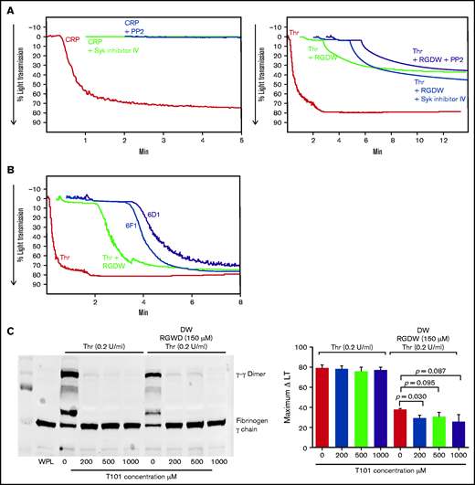 Inhibition of Syk and Src kinases, GPIb, integrin α2β1, or FXIII-mediated fibrin cross-linking, has little or no effect on the time to onset or maximal change in light transmission of the DW. RGDW (150 μM)-treated washed platelets (2 × 108/mL) were incubated for 20 minutes at RT with the following: (A) 100 μM of the Src kinase inhibitor PP2 or 1 μM of the Syk kinase inhibitor VI, or (B) 10 μg/mL of the GPIb-blocking mAb 6D1 or the α2β1-blocking mAb 6F1. Presented tracings are representative of 3 independent experiments. (C) Washed platelets in the absence or presence of RGDW (150 μM) were treated with the FXIII transglutaminase inhibitor T101 at the indicated concentrations 5 minutes prior to adding Thr (0.2 U/mL). Left panel: immunoblot data using a mAb specific for fibrinogen γ-chain of samples solubilized with SDS sample buffer under reducing conditions after 15 minutes of activation. Right panel: corresponding maximal ΔLT of the DW in 3 independent experiments, presented as mean ± SD. WPL, washed platelet lysate.