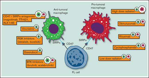Biological impact of standard and novel therapeutic agents on macrophages in FL. Only agents for which preclinical data were available are depicted.