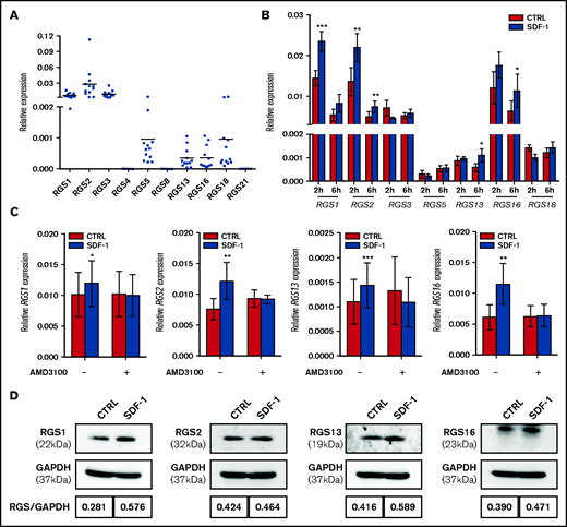 Expression of R4 RGS in human HSPCs and its regulation by the SDF-1/CXCR4 axis. (A) Differential mRNA levels of R4 RGS in CB-derived CD34+ cells (n = 12). (B) SDF-1 affects RGS mRNA expression. CD34+ cells were cultured in medium alone or in the presence of SDF-1 (100 ng/mL) for the indicated time points. Expression of R4 RGS was measured by RT-qPCR (n = 5). (C) AMD3100 blocks RGS induction. CD34+ cells were pretreated with AMD3100 (10 µg/mL) for 1 hour before stimulation with SDF-1 and quantified for R4 RGS expression (n = 6). Reported values are RGS expression relative to GAPDH. (D) SDF-1 affects RGS protein expression. CD34+ cells were cultured in the absence or presence of SDF-1 (100 ng/mL) for 24 hours. Expression of R4 RGS was measured by Western blotting. RGS/GAPDH intensity ratios are indicated. Statistics: 2-tailed, paired Student t test. *P < .05; **P < .01; ***P < .001.