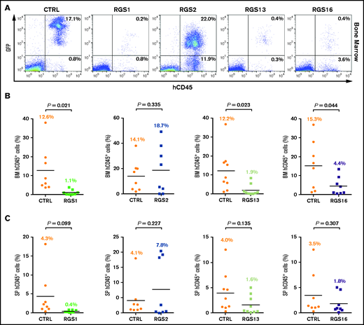 R4 RGS inhibit early HSPC engraftment. Control or RGS-overexpressing CD34+ cells were intravenously infused into sublethally irradiated NOD/SCID mice. (A) Representative flow cytometry plots showing the identification of engrafted human hematopoietic cells in the murine BM. Human CD45+ cells in the recipient BM (B) and spleens (C) were enumerated by flow cytometry at 8 weeks after transplantation. Each data point represents the average engraftment level of 2 animals in a single experiment, with 8 to 9 independent experiments performed (ie, 16-18 animals/group). Statistics: 2-tailed, paired Student t test. P values are indicated.