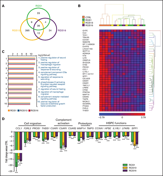 Gene expression profiles of RGS-overexpressing HSPCs. Expression microarray was performed on control or RGS1-, RGS13-, and RGS16-overexpressing CD34+ cells (n = 4). (A) Venn diagram showing the number of significantly deregulated genes in RGS-overexpressing cells. (B) Heat map showing the 36 differentially expressed genes commonly altered by the 3 RGS members. (C) Top 10 enriched gene ontology (biological processes) of RGS-regulated genes. (D) Differential expression of 14 target genes with relevance to stem cell trafficking/maintenance was validated by RT-qPCR (n = 8). Statistics: 2-tailed, paired Student t test. **P < .01; ***P < .001.