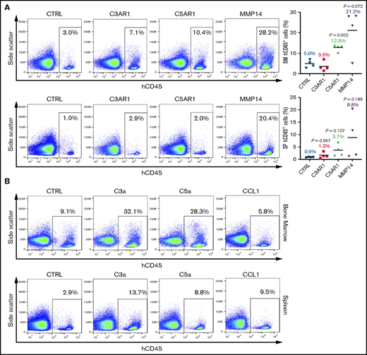Overexpression of RGS-regulated effectors or priming with their ligands improve HSPC engraftment. CD34+ cells were (A) transduced with C3AR1, C5AR1, or MMP14 lentiviral vectors or (B) stimulated with C3a, C5a, or CCL1 (1 μg/mL; 30 minutes), and intravenously infused into sublethally irradiated NOD/SCID mice. Human CD45+ cells were enumerated in the recipient BM and spleens at 8 weeks after transplantation. Shown are representative flow cytometry plots illustrating the detection of engrafted hematopoietic cells. (A) Four mice per group. (B) Two mice per group. Statistics: 2-tailed, paired Student t test. P values are indicated.