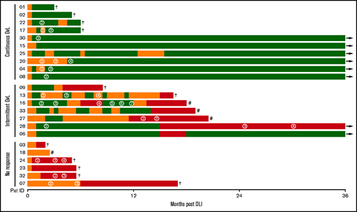 Response to DLI. Every line represents 1 individual patient with color coding detailing timing and duration of GVL (green) and noGVL (orange) response or relapse (red). First DLI was given at baseline. Numbers in circles indicate the consecutive number of further DLIs. Follow-up was 36 months. †, death; #, 2nd aHSCT; →, continued survival.
