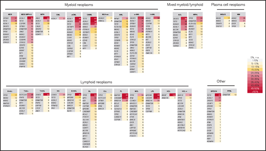 Summary of most frequently mutated genes per entity. All genes with a mutation frequency of >5% are depicted. Color code corresponds to the frequency level. The entities are sorted according to classification into myeloid, lymphoid, mixed, plasma cell neoplasm, and other.