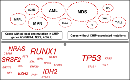 Mutational patterns in relation to DTA mutations. Comparison of the mutational patterns of cases with at least 1 DTA mutation (DNMT3A, TET2, ASXL1; left panel) with cases without such mutations (right panel). The depicted entities are the ones in which certain mutations (shown on the bottom, script size indicates the number of entities with changes in this mutation) with significantly different frequencies dependent on presence of DTA mutations were found.