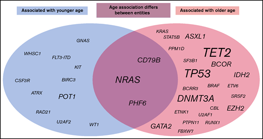 Graphic summary of age-associated molecular mutations. The circles include all mutations across all entities that were found to be associated with younger age (gray, left ide) or older age (light red, right) or for which the age association was found to differ between entities (middle). Script size indicates the number of entities with changes in this mutation.