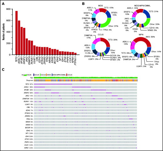 Cohort genomic characteristics. (A) Top mutated genes in cohort. (B) Mutation frequency by disease subtype. (C) Cohort-wide oncoprint.