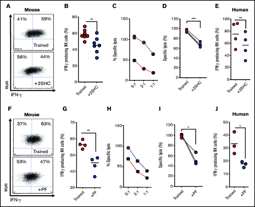 Inhibition of Srebp limits NK cell cytokine training. (A-B) Representative dot plot and scatter graph showing impact of 25HC treatment in the initial 18 hours on IFN-γ production by trained mouse NK cells 6 days later. (C) Representative line graph demonstrating the percentage of target cells lysed by trained (red circles) or 25HC-treated (blue circles) mouse NK cells at different effector/target ratios. (D) Scatter graph displaying pooled data demonstrating the impact of 25HC on lysis of target cells by trained mouse NK cells at 5:1 target ratio. (E) Scatter graph showing impact of 25HC treatment in the initial 18 hours on IFN-γ production by trained human NK cells on day 7. (F-G) Representative dot plot and scatter graph showing impact of PF429242 treatment in the initial 18 hours on IFN-γ production by trained mouse NK cells. (H) Representative line graph demonstrating the percentage of target cells lysed by trained (red circles) or PF429242 treated (blue circles) mouse NK cells at different effector/target ratios. (I) Scatter graph demonstrating the impact of PF429242 treatment in the initial 18 hours on relative lysis of target cells by trained mouse NK cells at 5:1 target ratio. (J) Scatter graph showing impact of PF429242 treatment in the initial 18 hours on IFN-γ production by trained human NK cells at day 7. Data pooled from a minimum of 3 independent experiments unless otherwise stated. Statistical comparisons using Student t test. *P < .05; **P ≤ .01; ***P < .001.