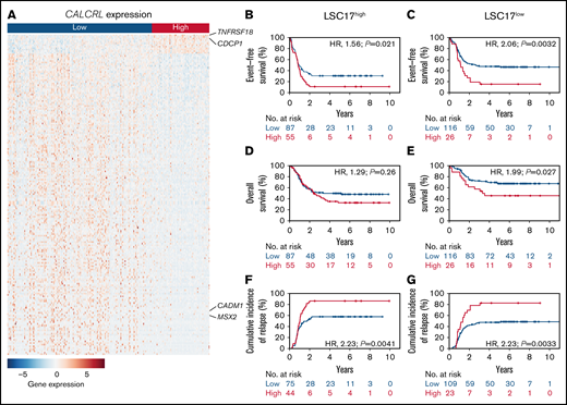 Biological insights. (A) Heat map of the 200 differentially expressed genes with the lowest adjusted P values ordered by log fold change between pediatric patients with AML with high and low CALCRL expression levels. Rows represent the color-coded genes with blue indicating low, white intermediate, and red high expression values for the given gene. Columns represent patients, ordered from left to right by CALCRL expression. Genes that are mentioned in the text are indicated. The complete list of the 200 most differentially regulated genes can be found in the supplemental Data. (B,C) Event-free survival, (D,E) overall survival, and (F,G) cumulative incidence of relapse according to CALCRL expression in patients with (B,D,F) high and (C,E,G) low LSC17 scores.17
