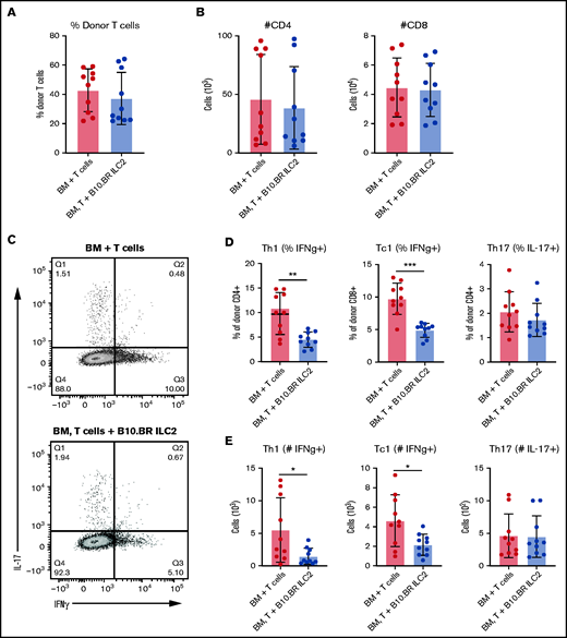 Cotransplantation of ILC2s reduces pro-inflammatory donor T-cell numbers in the GI tract. Donor T cells were evaluated in the GI tract 12 days’ posttransplant by using green fluorescent protein–positive splenic T cells alone (BM + T cells) or green fluorescent protein–positive T cells and B10.BR ILC2s (BM, T cells + B10.BR ILC2s). (A) Frequency of total LP lymphocytes. (B) Total number of donor CD4+ and CD8+ T cells in the colonic lamina propria lymphocytes. (C) Flow cytometry plots of intracellular cytokine expression from colon. Percentage (D) and total number (E) of IFN-γ producing donor CD4+ and CD8+ T cells and the number of donor CD4+ T cells producing IL-17A in the LP. These data represent 2 independent experiments (n = 5), Student’s t test with Welch’s correction; *P < .05, **P < .01, ***P < .001.