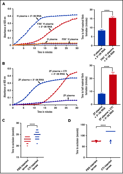 Lack of activation of FXII-deficient human plasma or zebrafish plasma in the presence of CTI by 3'-26 RNA. (A-B) Left graphs show the increasing fibrin formation with increasing time in the kinetic coagulation assay. (A) Left graph: curves were obtained from normal and FXII-deficient human plasma in the presence of 3'-26 RNA and in the absence of RNA. Bar graph shows a significant shortening of the time to half-maximal fibrin formation (using data obtained from the left graph); normal human plasma is compared with FXII-deficient human plasma in the presence of 3'-26 RNA. (B) Left graph: curves were obtained from zebrafish plasma activated by 3'-26 RNA in the absence or presence of CTI and in the absence of both RNA and CTI. Bar graph shows a significant shortening of the time to half-maximal fibrin formation (using data obtained from the left graph) for zebrafish plasma activated by 3'-26 RNA in the absence or presence of CTI (n = 4). For curves in panels A and B, the time in minutes was plotted against the absorbance at 405 nm at 25°C. The data for time to half-maximal fibrin formation (in minutes) were analyzed using Student t test and are shown as mean ± SEM. (C-D) Inhibition of venous thrombosis (C) and arterial thrombosis (D) by CTI in zebrafish larvae. Prolongation of the TTO in the caudal vein (C) and the caudal artery (D) of CTI-injected larvae was significant compared with that for the PBS-injected larvae (n = 48). The data were analyzed using Student t test and are shown as mean ± SEM. ****P < .0001.