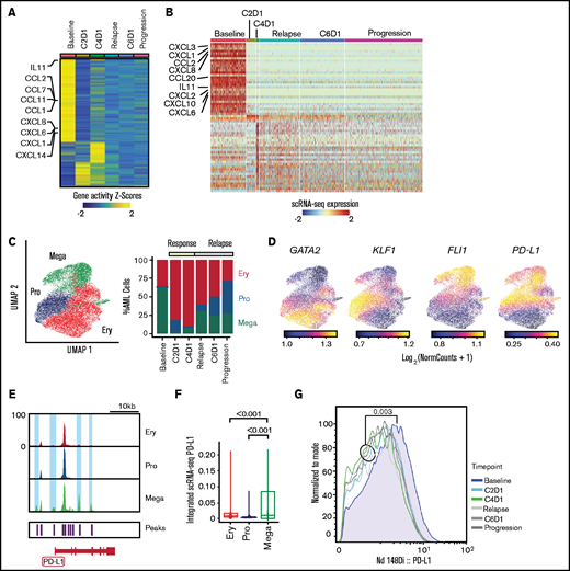 Evolution of AML blasts following PD-1 blockade. (A-B) Differentially expressed genes in AML blasts calculated from imputed gene activity scores based on scATAC-seq (A) or from gene expression obtained through scRNA-seq (B). Timepoints include transient partial response to nivolumab (C2D1, C4D1) and subsequent disease progression with unsuccessful re-exposure to nivolumab (relapse, C6D1, and progression). (C) UMAP representation and clustering (scATAC-seq) of AML cells (n = 20 148) with progenitor-like (Pro), megakaryocytic (Mega), and erythroid (Ery) features and relative abundance of clusters over the clinical course. (D) Imputed gene activity scores of GATA2, KLF1, FLI1, and PD-L1 from scATAC-seq data used for annotation of AML cell clusters (C). (E) Chromatin accessibility of CD274 gene (encoding PD-L1 protein) across AML subclusters. (F) PD-L1 expression projected from scRNA-seq data onto scATAC-seq AML subclusters. Statistical testing using Wilcoxon rank sum test. (G) Expression of PD-L1 on AML blasts measured with CyTOF at different timepoints.