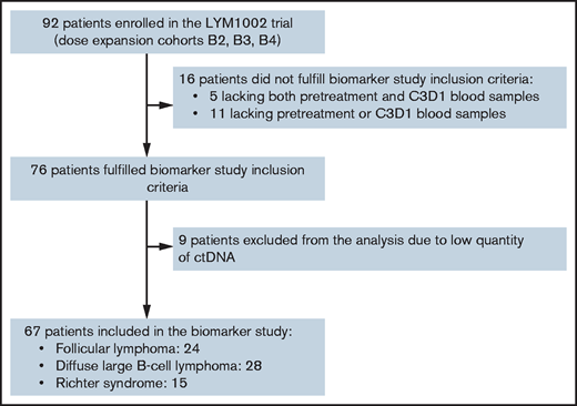 REMARK diagram of study population and patients included in the biomarker study. C3D1, cycle 3, day 1.