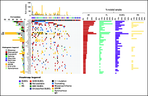 The heat map of genes mutated in ≥10% of cases in pretreatment circulating tumor DNA. Disease histology and cell of origin are color coded and shown below the heat map. In the heat map, each row represents a gene, and each column represents a primary tumor. The heat map is manually clustered to emphasize mutational co-occurrence. The number and type of somatic mutations in any patient are plotted in the histogram above the heat map, and the number and type of somatic mutations in any given gene are plotted in the histogram on the left of the heat map. The horizontal bar graphs on the right of the heat map show the gene mutation frequency in all cases (red bar), in relapsed FL (turquoise bar), in relapsed DLBCL (violet bar), and in RS (yellow bar).