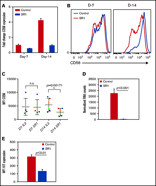 SR-1 promotes the development of CD56dim NK cells. (A) Real-time PCR showing CD56 expression from NK cells expanded with DMSO (control) or SR-1 on day 7 (D7) and day 14 (D14). The value on the y axis shows fold change in gene expression relative to D7 control NK cells. (B) Representative fluorescence-activated cell sorter histograms showing CD56 expression in day 7 or 14 expanded NK cells with SR-1 (1 μm) or DMSO (control). (C) Quantification of CD56 expression by measuring mean fluorescence intensity in NK cells expanded with SR-1 or control from multiple donors on days 7 or 14. Values show mean ± standard deviation (SD; n = 6, P < .001). ns, not significant. (D) RNA-seq data showing the expression of KIT in NK cells expanded with DMSO (control) or SR-1. Value show mean ± SD (n = 3, P < .001). (E) Fluorescence-activated cell sorter analysis showing KIT expression in NK cells expanded with SR-1 or control (DMSO) on day 14. Mean fluorescence intensity was used to determine protein expression. The values show mean ± SD (n = 3, P < .01).
