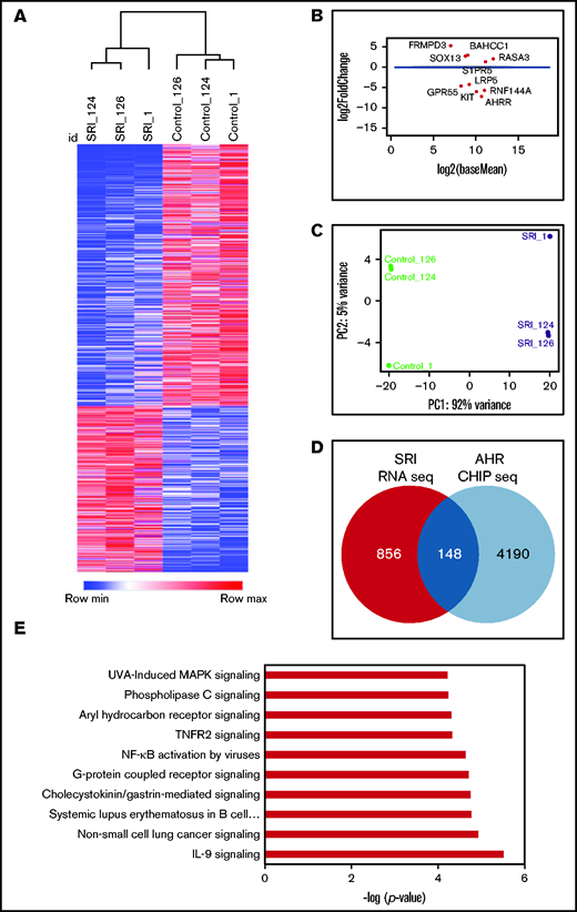 AHR inhibition leads transcriptional reprograming of NK cells. (A) Heatmap showing hierarchical clustering of DEGs between SR-1– and DMSO (control)-expanded NK cells on day 14. RNA isolated from control- or SR-1–expanded NK cells was used for RNA-seq. The transcripts were aligned to the human GRCh38 assembly. The results show the expression of genes that change 1.5-fold (P < .05). Hierarchical clustering was performed using Pearson correlation. (B) Multivariate plot showing the expression of highest expressed gene upregulated or downregulated between the control (DMSO) and SR-1 treatment groups. Each dot represents a gene, with the x axis representing expression and the y axis representing fold change. Dots colored red show genes whose differential expression is considered statistically significant (<10% false discovery rate). (C) Principal component analysis showing the genes from day 14 SR-1– or DMSO-expanded NK cells. x and y axes show principal component 1 (PC1) and principal component 2 (PC2) that explain 92% and 5% of the total variance, respectively. (D) Venn diagram showing the number of AHR targets genes in NK cells expanded with SR-1 as identified by AHR ChIP-seq on day 14. (E) IPA showing the top 10 signaling pathways. Gene ontology analysis was performed using the list of differentially expressed AHR target genes (148) from day 14 SR-1–expanded NK cells.