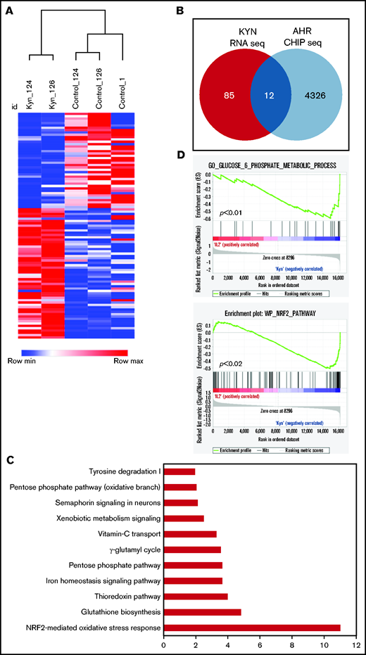 AHR agonists suppress NK-cell function. (A) Heatmap showing hierarchical clustering of DEGs between Kyn and DMSO (control) in day 14 expanded NK cells. Donor-matched control or Kyn expanded NK cells were used for RNA-seq. The results show expression of genes that change 1.5-fold (P < .05). (B) Venn diagram showing the number of the DEGs genes and AHR targets genes in NK cells expanded with Kyn. (C) IPA analysis showing the top 10 pathways. Gene ontology was performed using the list of differentially expressed AHR target genes from day 14 NK cells expanded with Kyn. (D) Gene Set Enrichment Analysis (GSEA) analysis showing an enrichment of glucose metabolic (top) and NRF2 (bottom) pathways in NK cells expanded with Kyn.