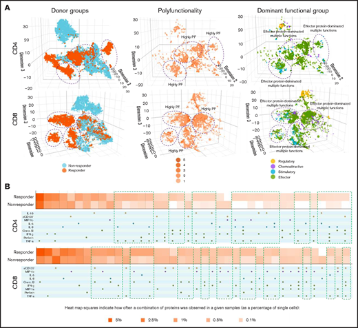 Three-dimensional t-distributed stochastic neighbor embedding (t-SNE) and heatmap visualizations reveal distinct cell clusters with cytokine signatures in pretreatment bone marrow CD4+ and CD8+ cell subsets between nonresponding and responding patients to the anti–PD-1–based therapy. (A) Three-dimensional t-SNE functional graphs plot single cells by differentiating them based on their greatest cytokine-based functional differences. The responders show more prominent increases of polyfunctional cell subsets with antitumor-associated protein secretions in CD4+ and CD8+ subsets than nonresponders (highlighted in purple circles). Donor group cell mapping stratifies data points from samples by responders (orange) and nonresponders (blue). Polyfunctionality cell mapping visualizes the data points based on the degree of polyfunctionality from the sample, with the darker the orange, the higher number of unique cytokines secreted per single cell. Dominant functional group mapping displays a color-coded visualization of data points based on the dominant cytokine profile being secreted, revealing biological drivers. (B) Functional heatmap compares the frequency at which various monofunctional and polyfunctional groups are secreted by the samples. The heatmap reveals the greater upregulation of polyfunctional subpopulations with unique cytokine signatures in both CD4+ and CD8+ subsets from responding patients compared with nonresponders (highlighted in green rectangles).
