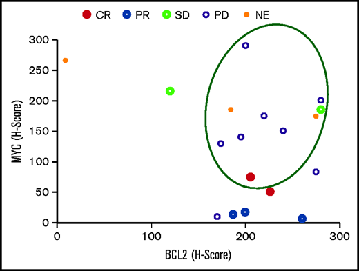 Clinical responses according to MYC and BCL2 expression. The circled events occurred in patients with DE-DLBCL. SD, stable disease; NE, not evaluable.