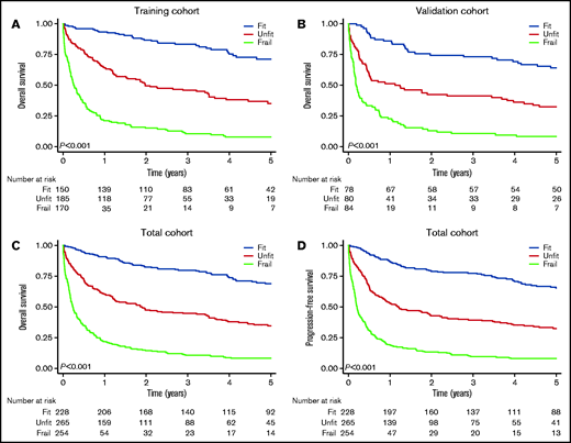 Survival by frailty group. Overall survival by frailty group in the training cohort (A), the validation cohort (B), and the total cohort (C). (D) PFS by frailty group in the total cohort.
