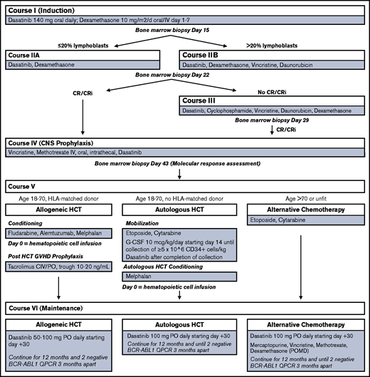 Treatment schema. CIV, continuous IV; G-CSF, granulocyte colony-stimulating factor; PO, by mouth; QPCR, quantitative RT-PCR.