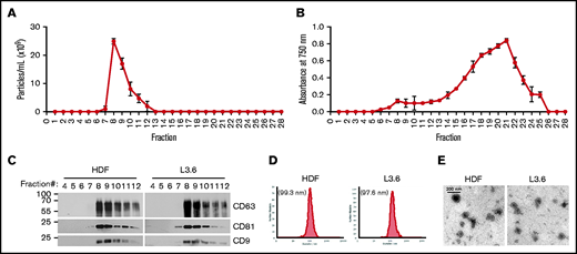 Characterization of EV. Particle numbers (A) and relative protein concentrations (B) in the fractions eluted following qEV size-exclusion chromatography. Data are mean ± SEM. (C) Tetraspanin (CD9, CD63, and CD81) content of purified EVs was analyzed in the indicated elution fractions by immunoblotting. (D) Size distribution of pooled fractions 7 to 10 from HDFs (left panel) and L3.6 cells (right panel). (E) Electron microscopy image of EV from HDFs (left panel) and L3.6 cells (right panel).