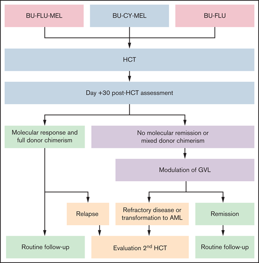 HCT and post-HCT strategy. Conditioning regiments include busulfan (BU; 16-20 mg/kg orally over 4 days) in combination with cyclophosphamide (CY; 120 mg/kg over 2 days) or fludarabine (FLU; 40 mg/m2/dose over 4 days) with or without melphalan (MEL; 140 mg/m2 once). Assessment at day +30 after HCT is performed by NGS and evaluation of donor chimerism. Molecular response is defined by a reduction of mutant allele frequency of the driver mutation to <5%. Modulation of GVL includes rapid withdrawal of immunosuppression and administration of donor lymphocyte infusions (±azacitidine). If remission, including molecular remission and full donor chimerism, is achieved, patients are monitored with bone marrow aspirates every 90 days for the first 18 months to 2 years after transplant (routine follow-up). Patients with refractory disease, relapse, or transformation to AML may benefit from a second HCT.