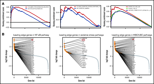 Functional enrichment analysis of pathways associated with high-risk immune cell score and the leading edge analysis diagrams. (A) GSEA plots show a significant association between ICSS high-risk and NF-κB, oxidative stress response, and core-enriched HSCs/leukemic stem cells signatures (all P < .01). (B) Diagrams show the log2 fold changes in all the genes studied, highlighting the genes in the leading edge analysis of NF-κB, oxidative stress, and HSC/LSC gene sets.