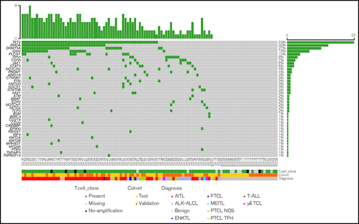 Targeted next-generation sequencing (t-NGS) and multiplex PCR-based clonality results of 82 T-cell lymphoma samples and 25 benign T-cell infiltrates divided into test (N = 57) and validation (N = 50) cohorts. Each column of this plot represents an individual case. Mutated genes are labeled in green and are sorted according to their mutation frequencies; the percentage of mutated cases is provided on the far right. For visualization purposes, only genes mutated in ≥1 case are displayed. Tracks at the bottom of the plot provide data on T-cell clone detection through multiplex PCR assays, on the cohort the case belongs to and on its diagnosis. Color codes are indicated in the key. AITL, angioimmunoblastic T-cell lymphoma; ALK-ALCL, ALK-negative anaplastic large cell lymphoma; ENKTL, extranodal NK/T-cell lymphoma nasal type; FTCL, follicular T-cell lymphoma; γδTCL, γδ T-cell lymphoma; MEITL, monomorphic epitheliotropic intestinal T-cell lymphoma; PTCL NOS, peripheral T-cell lymphoma not otherwise specified; PTCL TFH, peripheral T-cell lymphoma with T-follicular helper phenotype; T-ALL, T-cell acute lymphoblastic leukemia/lymphoma.