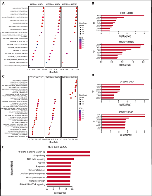 Phenotypic characterization of DOHH2 and HLY1 in the 3D coculture model. (A) The H3D (HLY1 in 3D) vs H2D (HLY1 in 2D), HT3D (HLY1 in 3D with TSC) vs H2D (HLY1 in 2D), and HT3D vs HT2D (HLY1 in 2D with TSC) gene signatures were analyzed by GSEA using HallMark MSigDB. (B) Enrichment of transcription factor (TF) targets in HLY1 signatures as determined using TRRUST database with EnrichR website. The 10 more significant predicted TF are represented. (C) The DT2D (DOHH2 in 2D with TSC) vs D2D (DOHH2 in 2D with TSC), DT3D (DOHH2 in 3D with TSC) vs D2D (DOHH2 in 2D), and DT3D vs DT2D gene signatures were analyzed by GSEA using HallMark MSigDB. (D) Enrichment of TF targets in DOHH2 signatures as determined using TRRUST database with EnrichR website. The 10 more significant predicted TF are represented. (E) Upregulated gene pathways identified by GSEA using in HallMark MSigDB in FL B cells vs centrocytes based on Affymetrix microarray data. The 10 more significant predicted pathways are represented.
