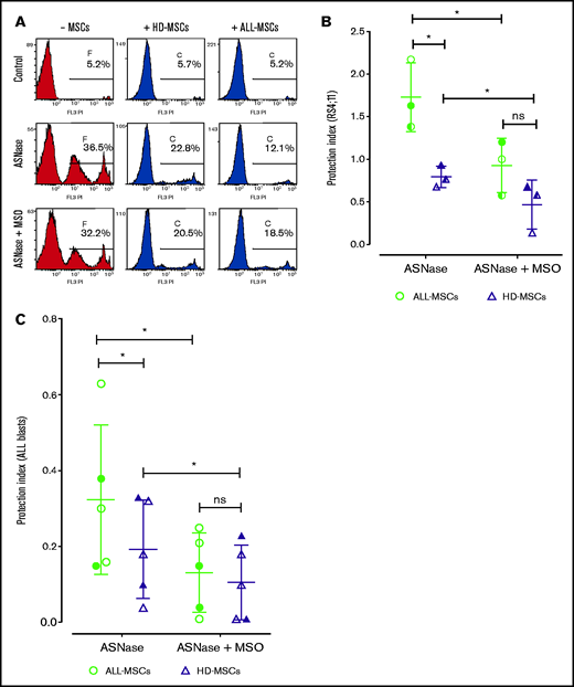 MSCs from ALL patients (ALL-MSCs) protect l-asparaginase-treated leukemia blasts better than MSCs from healthy donors (HD-MSCs). (A) MSCs from an ALL patient (UPN #14, supplemental Table 2A) or from a healthy donor (UPN #11, supplemental Table 2B) were cocultured for 48 hours with RS4;11 ALL cells in the presence of l-asparaginase (ASNase, 1 U/ml) or l-asparaginase + methionine-l-sulfoximine (ASNase + MSO, 1 mM). The percentages of dead RS4;11 cells, obtained in a representative experiment, are shown. (B) The protection index was calculated on RS4;11 cells treated for 48 hours with ASNase or ASNase + MSO in the presence of ALL- or HD-MSCs derived from 3 distinct patients (UPN#14-15-16, supplemental Table 2A) or healthy donors (UPN#11-14-16, supplemental Table 2B). (C) The protection index was calculated on primary blasts treated for 48 hours with ASNase or ASNase + MSO in the presence of unrelated ALL- or HD-MSCs. For panels B and C, means ± SD of 3 (B) or 5 (C) independent experiments performed with MSCs from 3 (B) or 2 (C) different patients (UPN#11-12, supplemental Table 2A) or healthy donors (UPN#1-3, supplemental Table 2B) were used. For panel C, blasts from 3 different, unrelated ALL patients (UPN#4-5-6, supplemental Table 2A) were used. UPN#4-5 have been cocultured with UPN#11-12 (supplemental Table 2A) and UPN#1-3 (supplemental Table 2B), and UPN#6 has been cocultured with UPN#11 (supplemental Table 2A) and UPN#1 (supplemental Table 2B). For the calculation of the protection index, see Materials and Methods. *P < .05 (one-tailed Student t test for paired samples). For panels B and C, in each panel different symbol identifies MSCs from an individual donor.