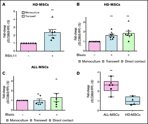 ALL blasts induce SLC38A5 in HD-MSCs. (A) HD-MSCs were cultured in the absence or in the presence of RS4;11 cells, and the expression of SLC38A5 was analyzed after 72 hours. (B) SLC38A5 expression was evaluated in HD-MSCs after coculture with unrelated ALL blasts. (C) SLC38A5 expression was evaluated in ALL-MSCs after coculture with related ALL blasts. (A-C) Data were normalized for RPL-15 mRNA abundance and reported as folds of the mean value obtained in monoculture. Data are means ± SD of 7 (A) or 8 (B) or 6 (C) independent experiments performed with MSCs from 3 (A, UPN#10-15-17, supplemental Table 2B) or 4 (B, UPN#5-6-7-8, supplemental Table 2B) healthy donors or 6 patients (C, UPN#6-7-8-9-10-18). For panels B and C, blasts from 3 (UPN#1-2-3, supplemental Table 2A) or 6 (UPN#6-7-8-9-10-18) patients were used, respectively. **P < .01 (one-sample Student t test). (D) The expression of SLC38A5 was determined in the MSCs used for experiments shown in panels B and C. Data are expressed as fold-change, normalizing against the average expression of healthy donors and are means ± SD. **P < .01 (Mann-Whitney U test). For panels A, B, C, and D, in each panel different symbol identifies MSCs from an individual donor.