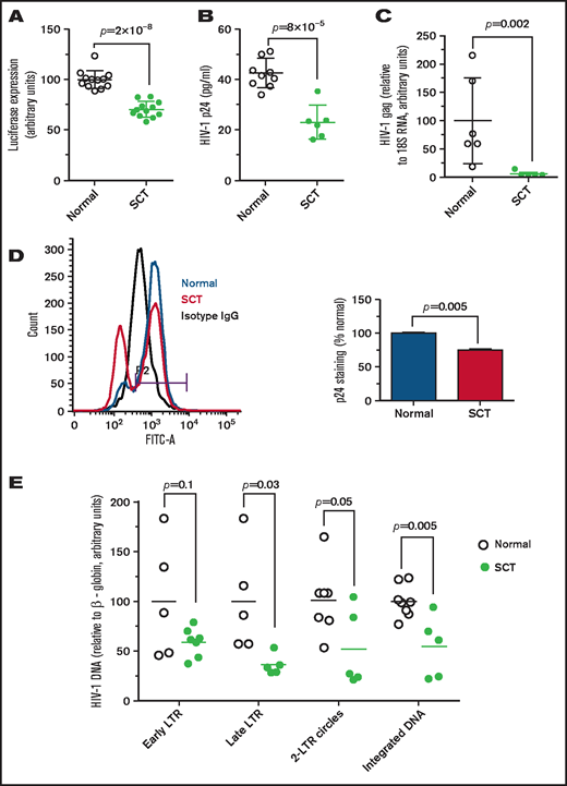 Inhibition of HIV-1 in SCT PBMCs. (A) One round of infection with HIV-1-LUC-G virus expressing luciferase. PBMCs were purified from whole blood obtained from individuals with SCT and HbAA control subjects. The cells were treated with phytohemagglutinin and interleukin-2 to activate T cells. PBMCs (12 HbAA, 33% female; 12 HbAS, 83% female) were infected with HIV-1-LUC-G virus expressing luciferase. Luciferase activity was measured at 48 hours’ postinfection. The results are expressed relative to the infection of PBMCs from control subjects, which was set to 100%. Data are shown as mean ± standard deviation. (B-C) HIV-1 (IIIB) replication is repressed in SCT PBMCs. PBMCs were purified and activated as described earlier and infected by HIV-1 (IIIB). Samples were collected at 4 days’ postinfection. Supernatants were collected, and p24 levels were measured by using an enzyme-linked immunosorbent assay (panel B, 8 HbAA, 37.5% female; 6 HbAS, 66.7% female). Cells were collected and RNA was extracted, reverse transcribed, and analyzed with primers for HIV-1 gag gene by real-time PCR using 18S RNA as a reference (panel C, 6 HbAA, 33.3% female; 5 HbAS, 60% female). Data are shown as mean ± standard deviation. (D) Reduction of intracellular HIV-1 p24 in SCT PBMCs. Intracellular p24 levels in PBMCs infected with HIV-1 IIIB were measured by using flow cytometry. A representative histogram shows isotype antibody linked to fluorescein isothiocyanate (FITC-A) staining (black), and p24-FITC-A staining of the infected control PBMCs (blue) and SCT PBMCs (red). Bar graph shows percentage of infected cells ± standard deviation (n = 2 per group, 50% female). (E) Analysis of HIV-1 replication stages in SCT PBMCs. PBMCs purified and activated as described earlier (8 HbAA, 37.5% female; 8 HbAS, 75% female) were infected with HIV-1-LUC-G virus and collected at 14 hours’ postinfection. DNA was extracted and analyzed by real-time PCR on a Roche 4800 using primers for early LTR, late LTR, 2-LTR circles, and integrated viral DNA. β-globin gene was used as a reference. The results show HIV-1 DNA levels in SCT PBMCs relative to control PBMCs.