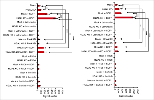 Effects of RhoA knockdown, inhibition of Syk, BTK, and G-actin polymerization on transwell migration in isogenic lymphoma cells expressing or not expressing HGAL. Means and standard deviations of 6 independent experiments are shown. *P < .05; **P < .01; ***P <.001; ****P < .0001. KD, knockdown.