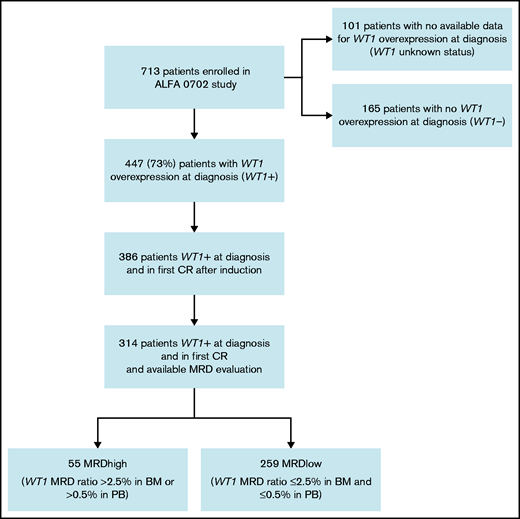 Flowchart. CR, complete remission.