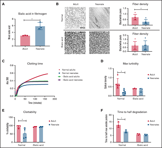 Influence of sialic acid on neonatal fibrin network properties. (A) Sialic acid concentration of neonatal fibrinogen is significantly greater than adult fibrinogen. N = 3 triplicate experiments. (B) Representative images of confocal microscopy analysis of clots taken at 63× magnification. Before removal of sialic acid, fiber density was statistically significant between adults and neonates; after removal, resulting clot structures were roughly equivalent in fiber density. N = 5 clots per group. Scale, 10 μm. (C) Polymerization curves were analyzed via turbidity measurements on a plate reader. (D) Maximum turbidity values were significantly lower in neonates compared with adults before removal of sialic acid and similar after. N = 5. (E) Normal neonatal fibrinogen had significantly lower clottability than adult fibrinogen; after digestion of sialic acid, clottability was similar. N = 4. (F) Fibrinolysis was initiated with plasminogen and tissue plasminogen activator. Normal neonatal fibrinogen had statistically faster degradation rates than adult fibrinogen. After removal of sialic acid, degradation rates were similar. N = 3. Average ± standard deviation is shown. *P < .05.