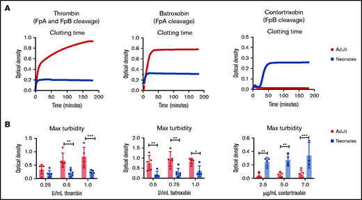 Clotting time. (A) Representative clotting time curves from absorbance-based turbidity assays using neonatal and adult fibrinogen at equal enzyme concentrations. (B) Maximum turbidity data gathered from clotting curves reveal significant differences between adult and neonatal fibrin clots. Average maximum turbidity ± standard deviation is shown. N = 3 to 6 per group. *P < .05, **P < .01, ***P < .001.