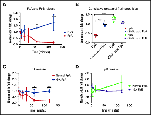 Quantitative release of fibrinopeptides. Clotting was initiated with the addition of thrombin to normal neonatal and adult fibrinogen. (A) Fibrinopeptide A and B concentration was determined for each time point over 120 minutes and reported as the neonatal to adult fold change. Mean fold change ± standard deviation is shown. (B) Cumulative release of fibrinopeptides was determined for normal and desialylated fibrinogen during clotting and reported as the neonatal to adult fold change for each fibrinopeptide. (C) Fibrinopeptide A release over time in desialylated fibrinogen compared with normal fibrinogen. The neonatal:adult fold change is reported. (D) Fibrinopeptide B release over time in desialylated fibrinogen compared with normal fibrinogen. The neonatal:adult fold change is reported. N = 3 triplicate experiments per group. Mean ± standard deviation is shown. *P < .05, **P < .01, ***P < .001, ****P < .0001.
