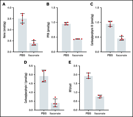 Porphyrin and heme analysis of MEL cells treated with itaconate. Heme (A), PPIX (B), and total carboxyl porphyrins (C,D) were determined by high-performance liquid chromatography for wild-type MEL cells differentiated in dimethyl sulfoxide media for 72 hours. (E) Relative fluorescence of cyclic porphyrins in media from MEL cell cultures overexpressing Homo sapiens ALAS2 (hsALAS2) over 72 hours without dimethyl sulfoxide induction. Itaconate concentrations were 2.5 mM in all experiments shown here. Bars represent means ± 1 standard deviation (n = 3-4 biological replicates as indicated red dots). Multiple Student t tests combined with Bonferroni analysis produced P values <.01 for all phosphate-buffered saline (PBS) vs itaconate comparisons shown. RFU, relative fluorescence units.