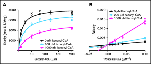 ALAS2 inhibition by itaconyl-CoA. Kinetic progress curves (A) and Lineweaver-Burk plot (B) indicating competitive inhibition of ALAS2 with an inhibitory constant = 100 ± 20 μM (mean ± 1 standard deviation) for itaconyl-CoA. Michaelis constant = 10 ± 2 μM (mean ± 1 standard deviation) for succinyl-CoA. Discontinuous colorimetric assays were conducted for n = 3 biological replicates (separate protein preparations).