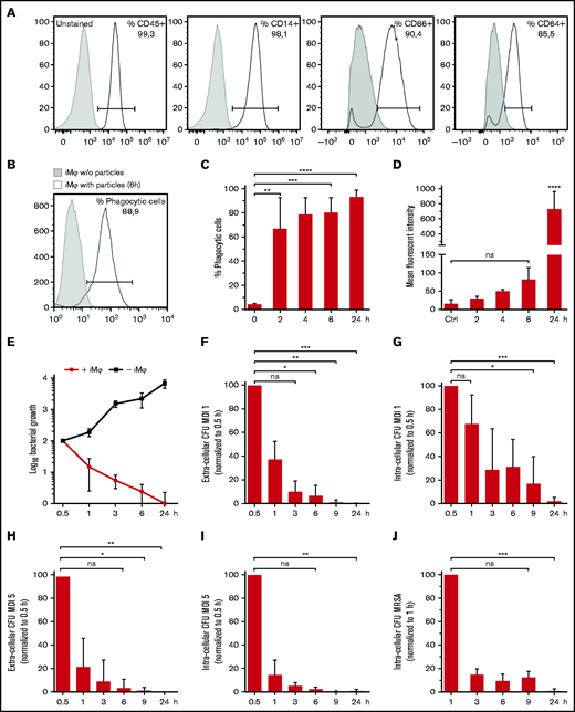 Characterization of iMφs and in vitro antibacterial activity of iMφs against S aureus. (A) Representative flow cytometric analysis of iMφs (gray filled: unstained; black line: respective antibody, a representative experiment of n = 3). (B-D) Phagocytosis of pHrodo red S aureus BioParticles. (B) Representative flow cytometry analysis (gray filled: iMφs without BioParticles; black line: iMφs with BioParticles after 6 hours at 37°C). (C) Frequency and (D) mean fluorescent intensity of BioParticle-positive iMφs 6 hours after incubation with pHrodo BioParticles at 37°C. (E) Growth of viable Newman S aureus bacteria in the presence and absence of iMφs. (F-J) Phagocytic and bactericidal ability of iMφs against S aureus Newman and MRSA. (F) Extracellular and (G) intra-cellular bacterial CFU after infecting cells with Newman at a MOI 1. (H) Extracellular and (I) intracellular bacterial CFU after infecting cells with Newman at a MOI 5. (J) Intracellular bacterial CFU after infecting cells with MRSA at a MOI 2. (C-J) Mean ± SD, n = 3. *P < .05; **P < .01; ***P < .001; ****P < .0001; ns, not significant, as determined by ordinary 1-way ANOVA with Dunnett’s multiple comparisons test (C,D) or Kruskal-Wallis ANOVA with Dunn’s correction analysis (F-J).