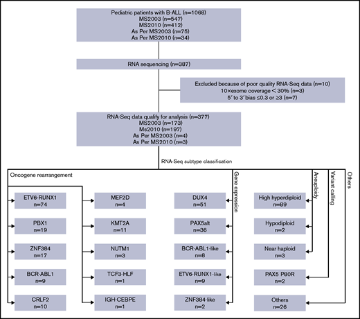 Diagram of RNA-seq and subtype classification of patients with B-ALL. RNA-seq was performed on a subset of patients with B-ALL enrolled in the MS2003 and MS2010 studies (including a few treated as per protocol). After quality control, RNA-seq data of 377 patients qualified for analysis. Patients were classified into 20 subtypes using 4 different methods. Some subtypes may be classified with multiple methods; only the leading method is indicated (Table 1).