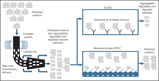 Pictorial representation of the study methodology using 2 tests: RP-HPLC and ELISA. HPLC (high-performance or high-pressure LC) is an analytic chemistry technique used to separate, identify, and quantify individual components in a mixture. A solution containing the mixture is passed through a column with adsorbent material. The different components of the mixture react with the adsorbent material leading to separation of the components as they flow out of the column. RP-HPLC uses hydrocarbon chains to generate a stronger or higher affinity for polar components, essentially the reverse of normal-phase chromatography. ELISA is a commonly used analytical biochemistry technique. It uses an enzyme immunoassay to detect the presence of a protein by directing antibodies to the protein to be measured. HPLC and ELISA have been used for biologic and pharmaceutical manufacturing, laboratory testing (of urine and blood) and in research for separating and identifying the individual components of a complex sample.