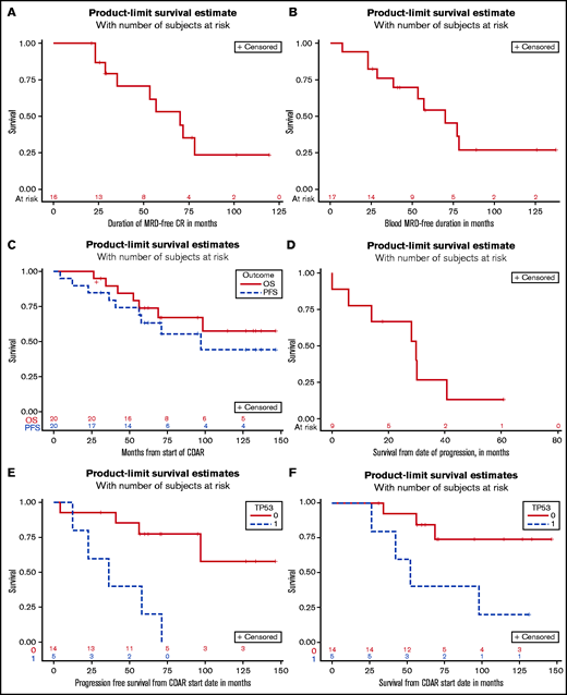 Survival outcomes and duration of response. MRD-negative CR duration is shown for 16 patients achieving MRD-negative CR with CDAR (A), and blood MRD-negative duration is shown for 17 patients becoming blood MRD-negative (B). OS and PFS are shown for all 20 patients (C), and OS after progression is shown for 8 patients who progressed (D). PFS (E) and OS (F) are shown for 5 patients with a TP53 mutation vs 14 patients without a TP53 mutation.