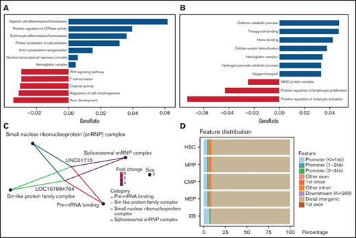 Function of differentially accessible chromatin and transcriptomes. (A-C) Functional enrichment of differential chromatin accessibility (A), differentially expressed genes (B), and lncRNAs (C) between the MEP cell and EB stages. (D) Distribution features of chromatin accessibility peaks related to lncRNAs.