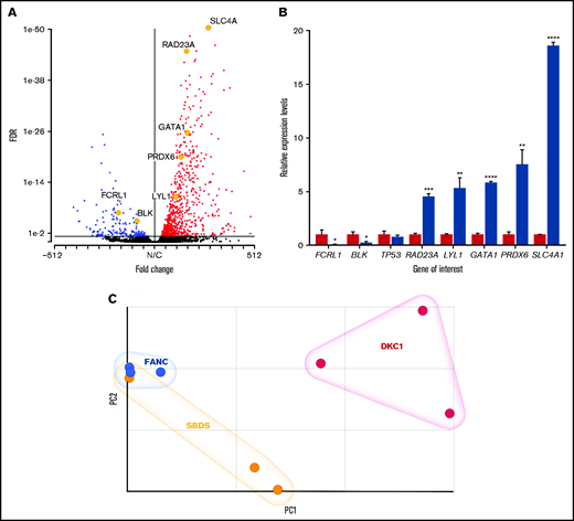 Differential expression in patients with FA. (A) Volcano plot showing a skewed upregulation of genes in patients compared with controls (red dots, genes with a positive FC; blue dots, genes with a negative FC; black dots, genes showing no significant dysregulation at FDR < 0.05. The significantly dysregulated genes analyzed in panel B are highlighted for comparison. (B) Relative expression of a selection of dysregulated genes measured by qPCR in total RNA. Error bars represent standard deviation of the relative expression for the sample groups (either 3 controls or 3 patients). (C) PCA plot for FANC, SBDS, and DKC1 patient groups (blue spheres, FANC; yellow spheres, SBDS; red spheres, DKC1). *P < .05; **P < .01; ***P < .001; ****P < .0001.