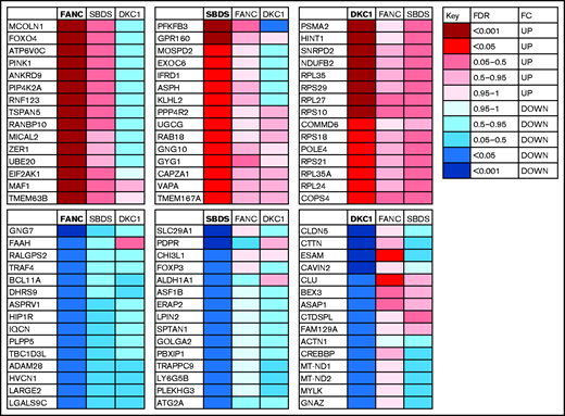 Summary heat maps of the 30 specific signature genes (15 upregulated and 15 downregulated) associated with each characterized disease subtype. For each panel, the specific disease type is highlighted in bold with an indication of the level (FDR) and direction (FC) of dysregulation indicated by the colored box. The corresponding level of dysregulation is also shown for the other study groups.